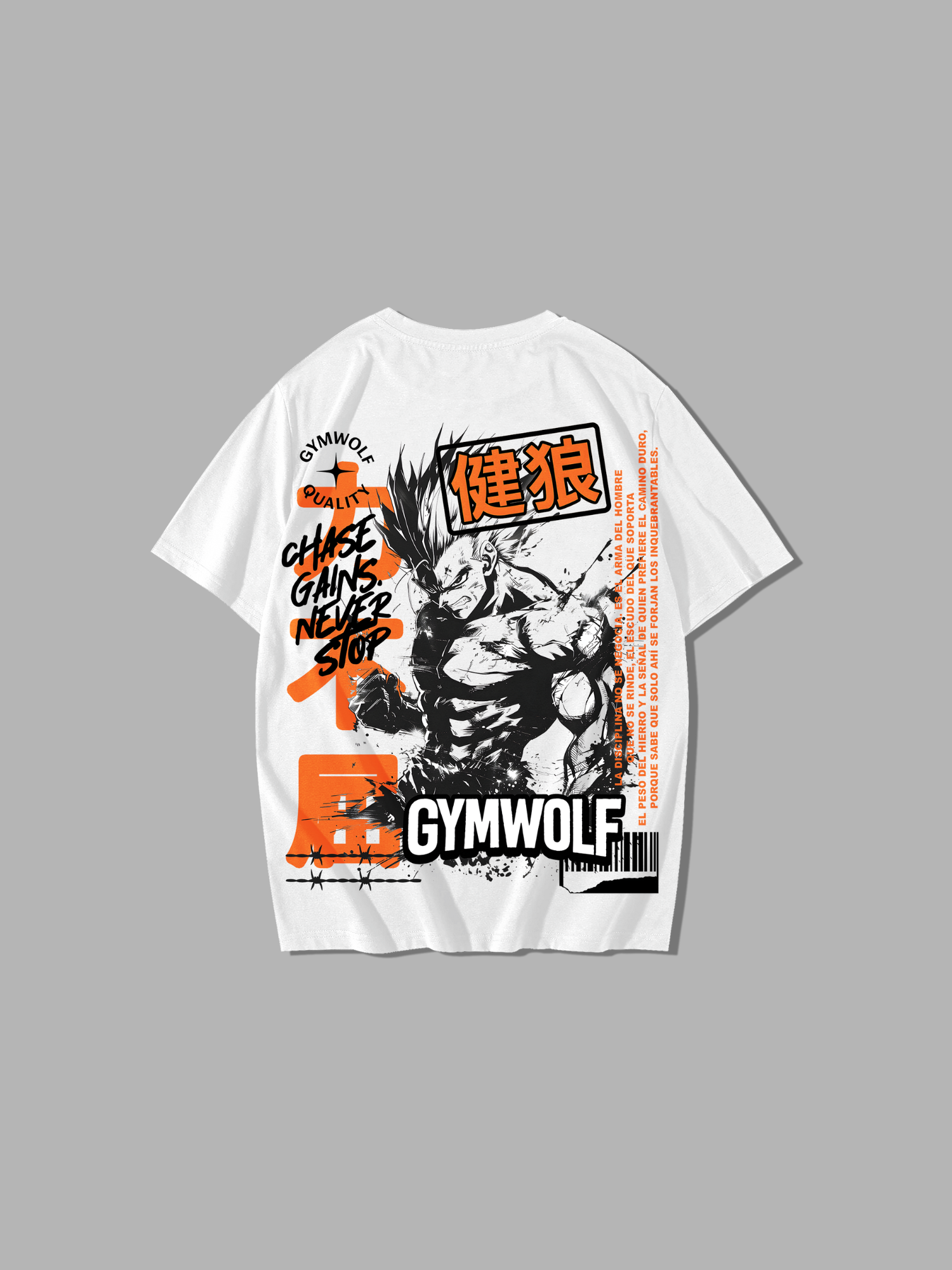 244 - ANIME 2.0 OVERSIZE T-SHIRT